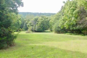 potential central virginia country home building site