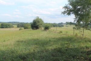 view over open field