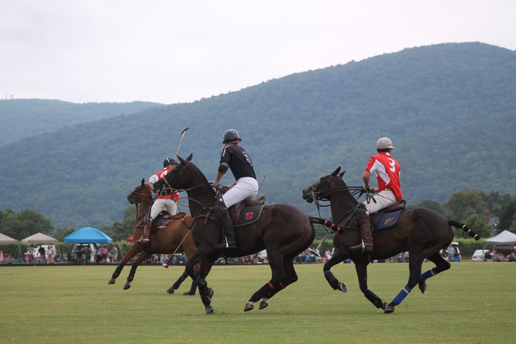 What does your dream horse farm look like?