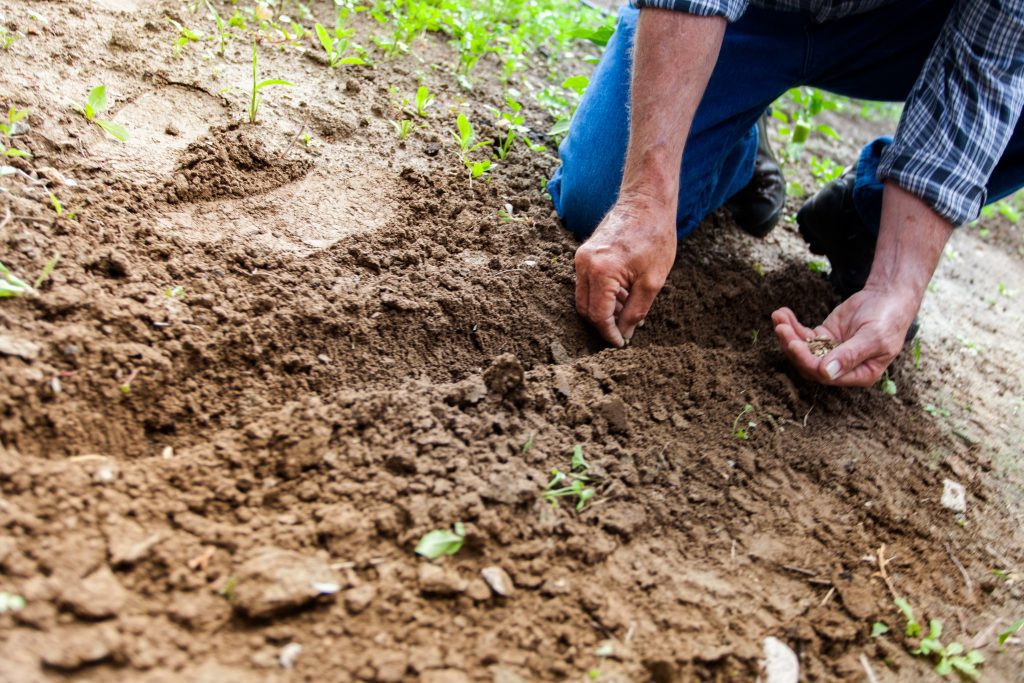 Buying country property means living the dream of having a garden of your own.