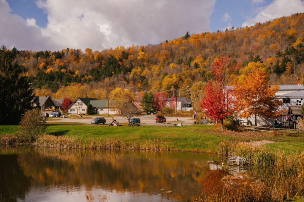 Location is a major determining factor in how to buy country property
