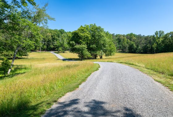 long driveway with grassy fields in Albemarle County