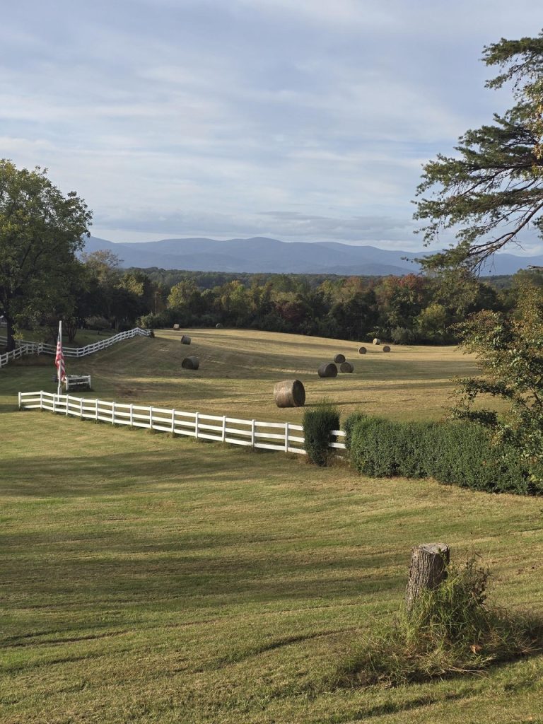 Horse farm for sale in Albemarle County with Blue Ridge Mountain views